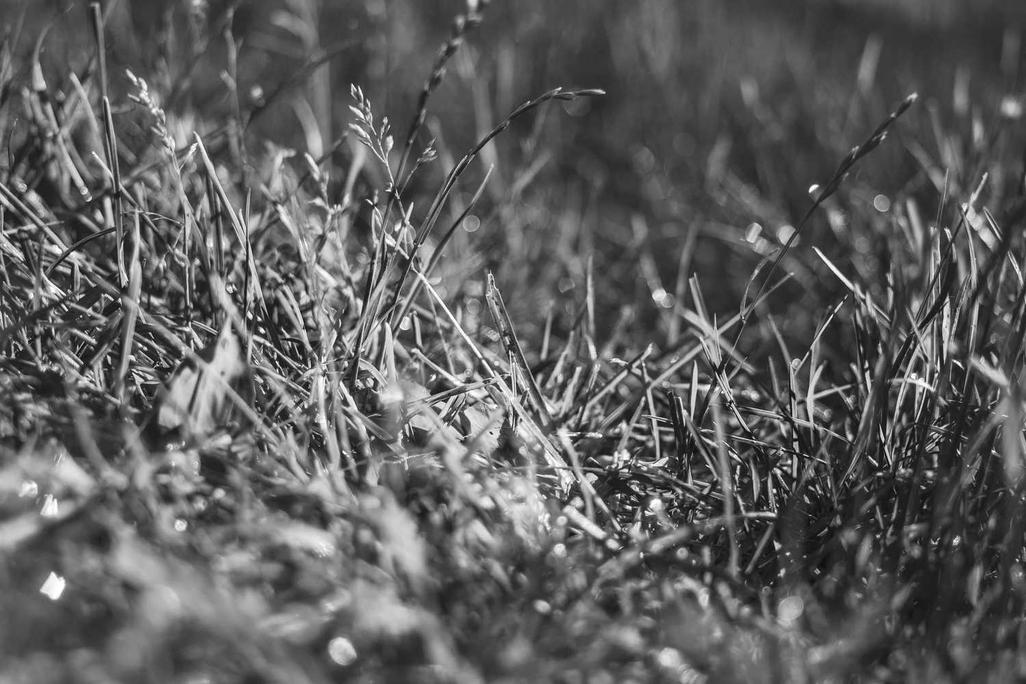 Aut repellat consequatur sunt consequatur quae asperiores non iusto